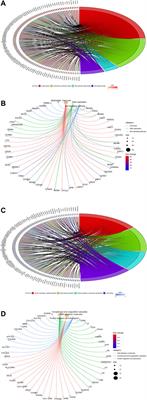 High Expression Levels of CDK1 and CDC20 in Patients With Lung Squamous Cell Carcinoma are Associated With Worse Prognosis